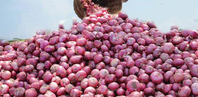 Highest Procurement Of Onions of 2.50 Lakh Tons For Buffer Stock Done From Farmers in 2022-23 » Kamal Sandesh