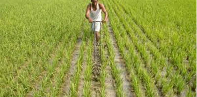 MoU signed to facilitate low interest rate loans to farmers » Kamal Sandesh