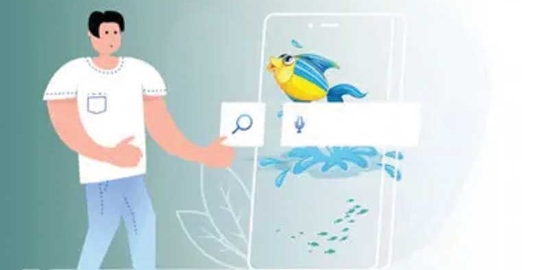 Mobile App developed for quick reporting of Fish Diseases » Kamal Sandesh