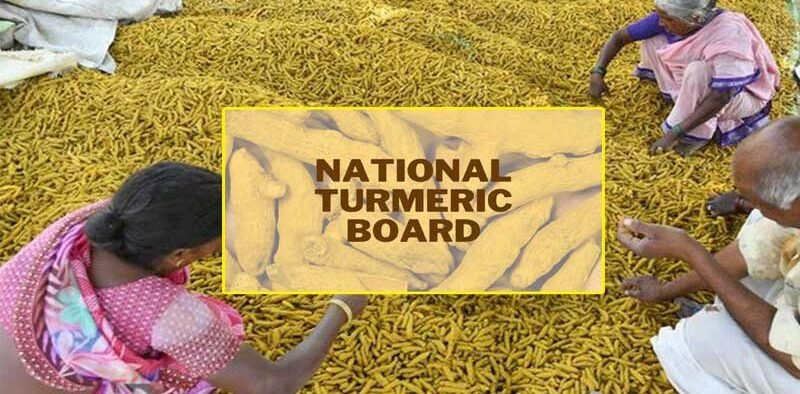 Government of India notifies establishment of National Turmeric Board » Kamal Sandesh