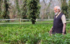 PM hails tea garden community of Assam for their hard work » Kamal Sandesh